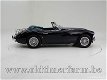 Austin Healey 3000 MK II A '63 CH3145 - 2 - Thumbnail