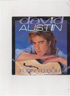 Single David Austin - Turn to gold