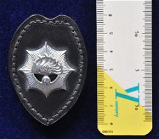 Badge Korps Rijkspolitie