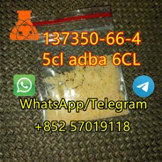 5cl adba 6CL 137350-66-4	Chinese factory supply	in stock	a