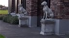 Engelse jachthonden op sokkel - 2 - Thumbnail