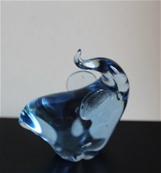 Olifant - glas
