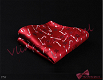 Kerst vlinderdas rood, zelfstrikker en pochet met Kerst zuurstokken en sneeuwvlokken - 252 - 1 - Thumbnail