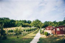 DutchHill Hongarije – Kleinschalig vakantiepark midden in de natuur