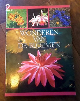 Boeken tuin, bloemen, zomerbloemen, planten, bloementuin - 3