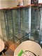 Vitrine kasten 6 stuks - 2 - Thumbnail