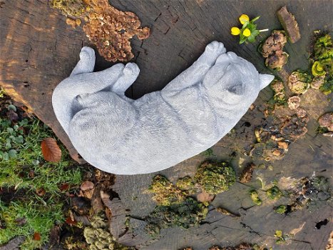 kat , poes, tuinbeeld slapende kat - 5