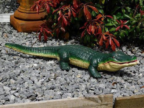 krokodil, tuinbeeld - 3