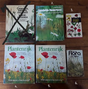 Boeken bloemen, wilde planten, planten, landschap, natuur, landleven - 0