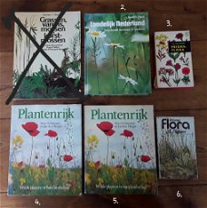 Boeken bloemen, wilde planten, planten, landschap, natuur, landleven