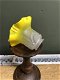 Antiek glazenkapje met fel geel schulprandje - 5 - Thumbnail