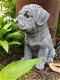 Tuin beeld van een hond - 2 - Thumbnail