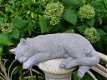 tuinbeeld poes van beton , kat - 1 - Thumbnail