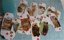 Katten kaartspel - 1 - Thumbnail