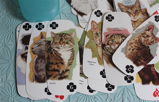 Katten kaartspel - 2