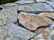 flagstones Limon € 41,95 p/m2 incl. btw - 1 - Thumbnail