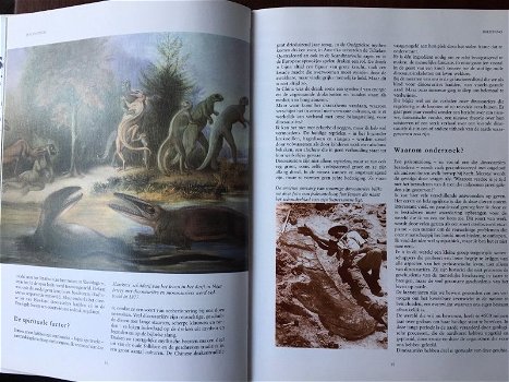 De fantastische wereld van de Dinosauriërs - David Norman - 5