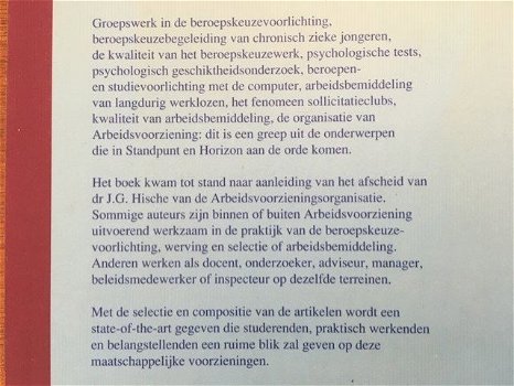 Standpunt en horizon (arbeidsvoorzieningsorganisaties) - 1