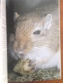 De praktische verwenwijzer - Over dieren - 4