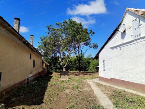 Hollád, Hongarije: Huis in het dorp, niet ver van het Balatonmeer - 2