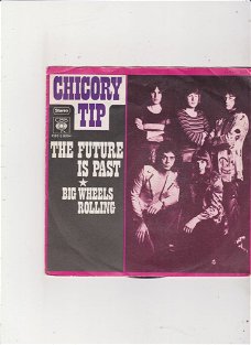 Single Chicory Tip - The future is past
