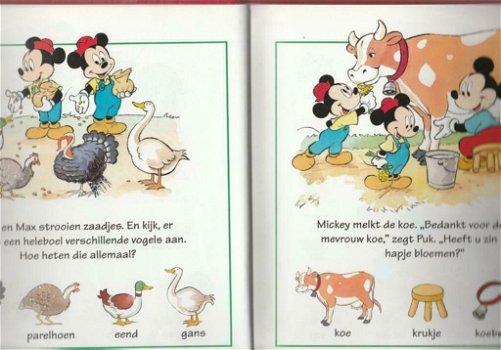 Een boel beesten - Walt Disney - Aanwijsboek - 2