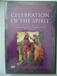 Celebration of the spirit (in plastic)