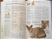 Katten & kittens - Joan Moore - 6 - Thumbnail