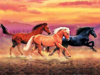 Clementoni Jigsaw Puzzle Horses 1000 stukjes - 0