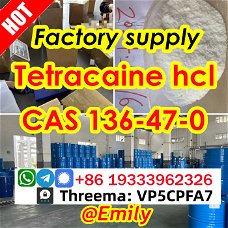 Cas 136-47-0 tetracaine hydrochloride Safe transportation guarantee