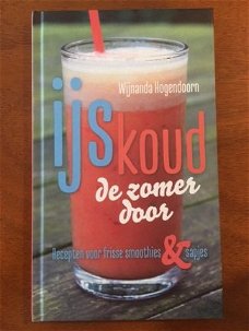 IJskoud de zomer door - Wijnanda Hogendoorn