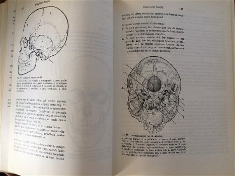 Compendium Anatomie - Dekker, Jansen - 4