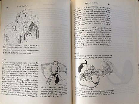 Compendium Anatomie - Dekker, Jansen - 6