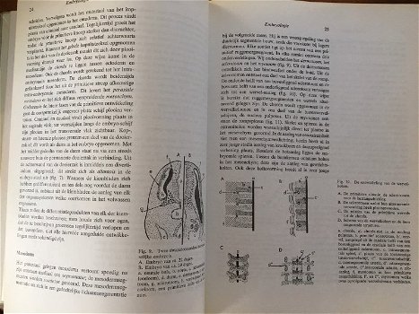 Compendium Anatomie - Dekker, Jansen - 7