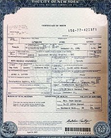 Führerschein, Personalausweis, Original Datenbank registrierter Reisepass, biometrischer