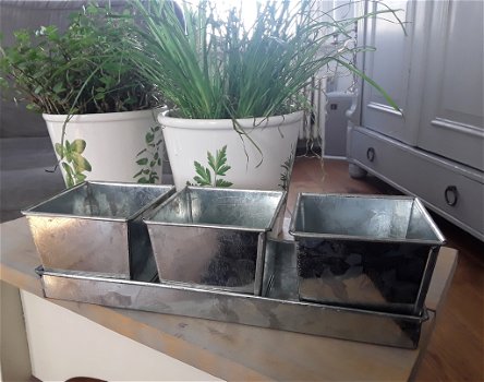 Verzinkte bakjes met tray voor plantjes / kruidenplantjes e.d. (Nieuw) - 0