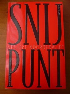 Snijpunt - Nelleke Noordervliet