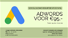 Google Ads (AdWords) uitbesteden voor €95,- p/m Incl. opbouw - 2 - Thumbnail