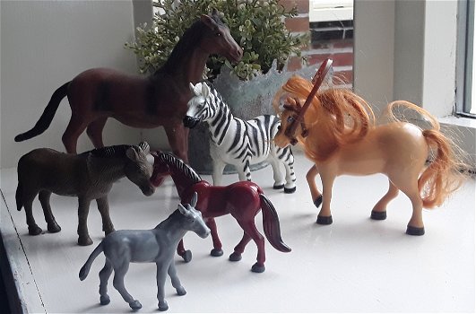 Paardachtige dieren: paarden, ezels, zebra - 0