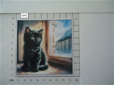 glanzende foto's Katten serie K- alle 8 voor 1,20