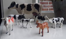 Koe - koeien - speelgoed dieren - speelgoeddieren