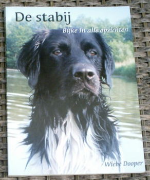 De stabij. Wiebe Dooper. ISBN 9080857319. - 0