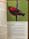 Birds of North America - National Geographic - 3 - Thumbnail