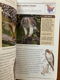 Birds of North America - National Geographic - 5 - Thumbnail