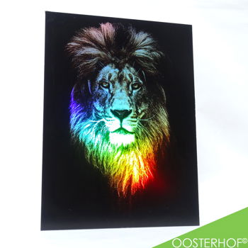 Leeuw met Regenboog Glinster Effect - 65 x 76 cm - UNIEK! - 0