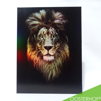 Leeuw met Regenboog Glinster Effect - 65 x 76 cm - UNIEK! - 2