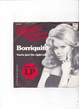 Single Charo & The Salsoul Orchestra - Borriquito - 0