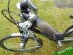 Koga Miyata Prominence Damesfiets FM52 V22 - 4 - Thumbnail