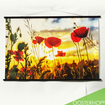 Veld met Klaprozen met ondergaande Zon | Canvas 144,5 x 94 #2 - 0