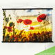 Veld met Klaprozen met ondergaande Zon | Canvas 144,5 x 94 #2 - 0 - Thumbnail